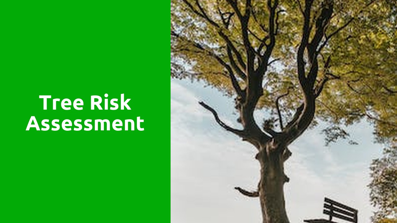 Tree Risk Assessment